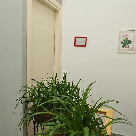 Apartment Casa Nicole *