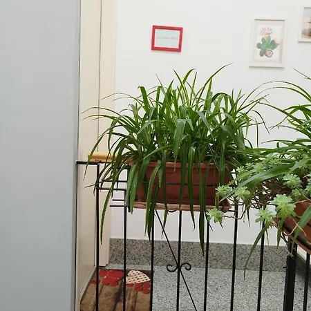 Casa Nicole Apartment