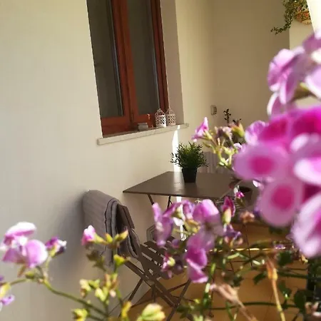 Casa Nicole *