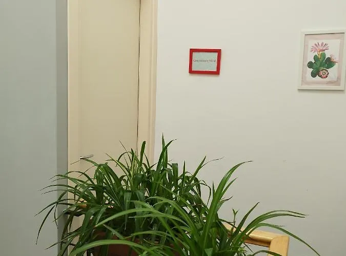 Apartment Casa Nicole *