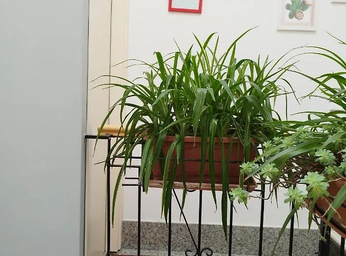 Casa Nicole Apartment