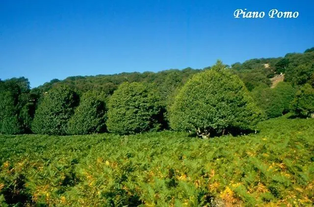 Apartment Casa Nicole